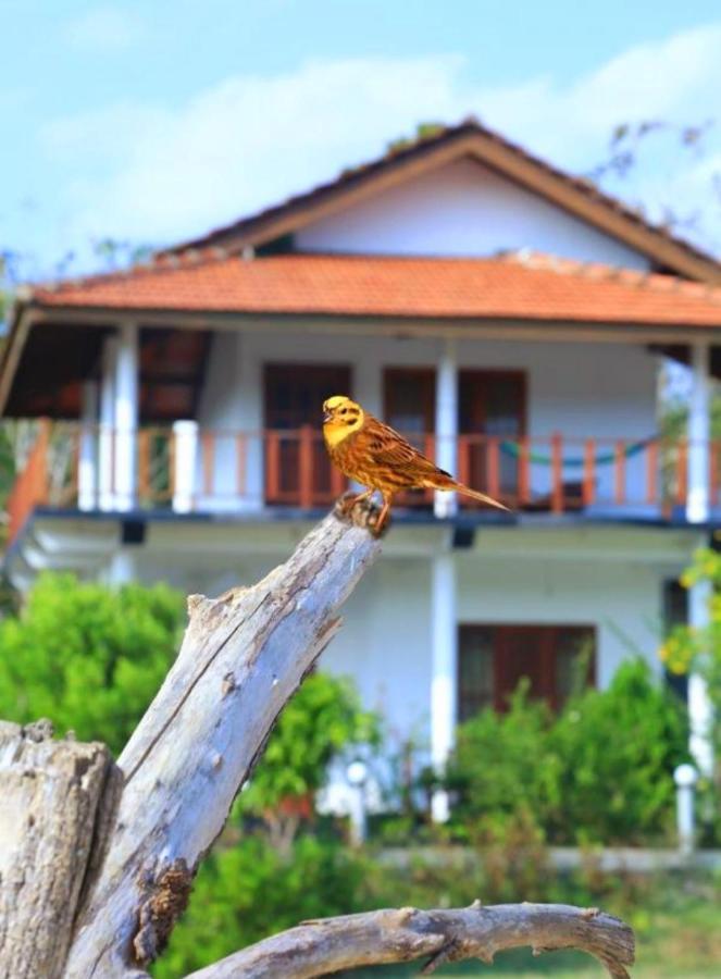 Pearl Cave Cabanas & Resturant Tangalle Bagian luar foto