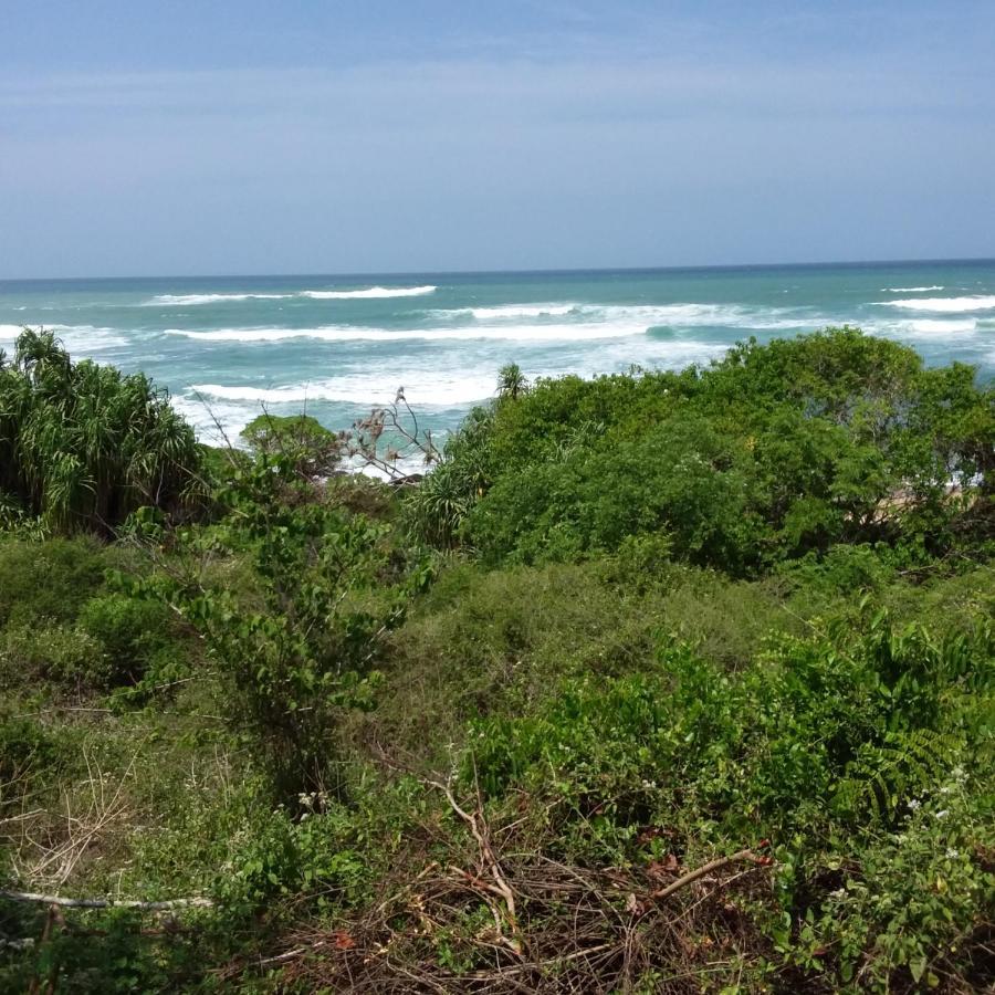 Pearl Cave Cabanas & Resturant Tangalle Bagian luar foto